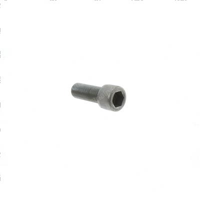 Picture of Screw