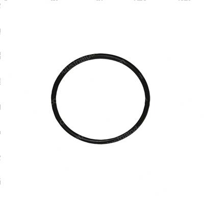 Picture of O-Ring