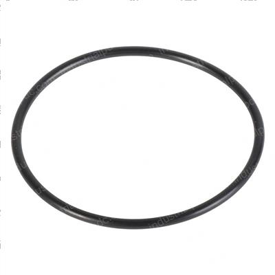 Picture of O-Ring