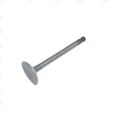 Picture of Valve - Intake