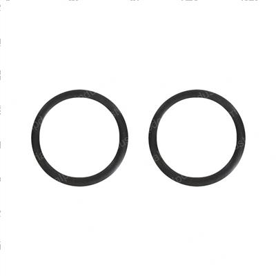 Picture of O-Ring