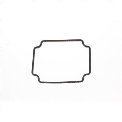 Picture of Seal