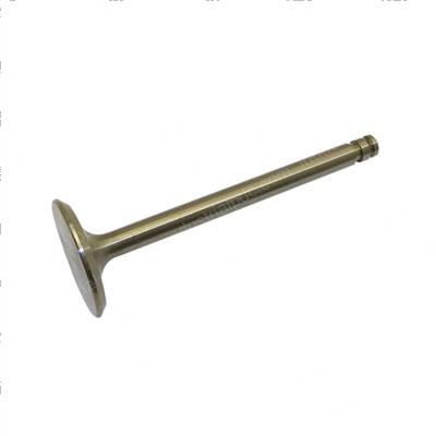 Picture of Valve - Intake