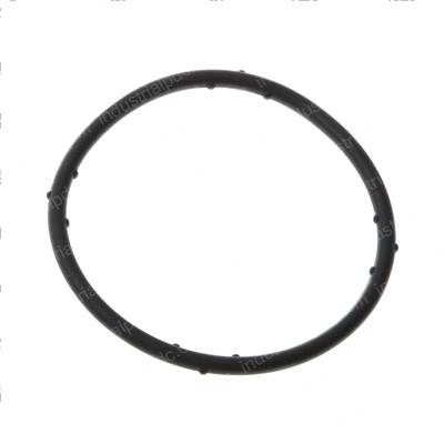 Picture of Sealing Washer