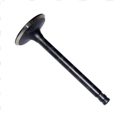 Picture of Valve - Intake (2 Groove)