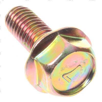 Picture of Flange Bolt