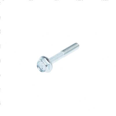 Picture of Bolt