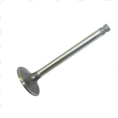 Picture of Valve - Intake