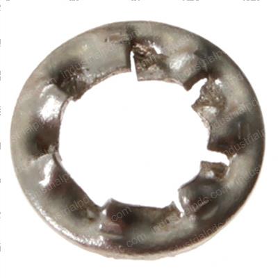 Picture of Washer  Lock  Int  M3  Ss