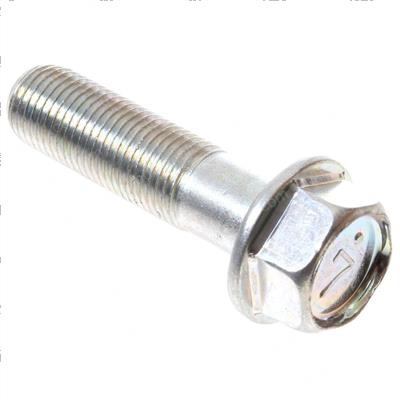Picture of Bolt