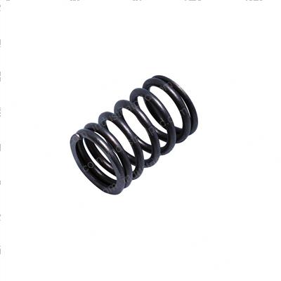 Picture of Spring - Valve Outer