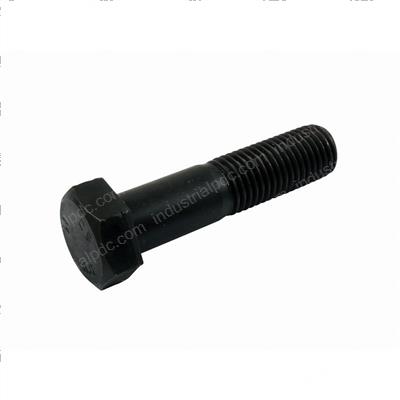 Picture of Bolt