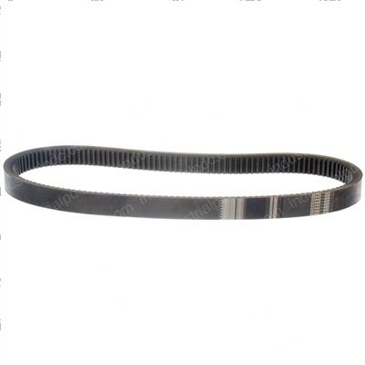 Picture of Belt- Variable