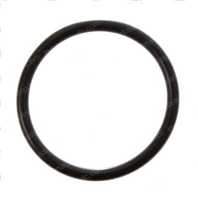 Picture of O-Ring