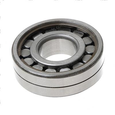 Picture of Bearing