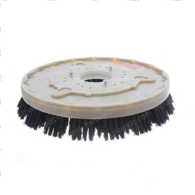 Picture of Brush 13 Inch Poly
