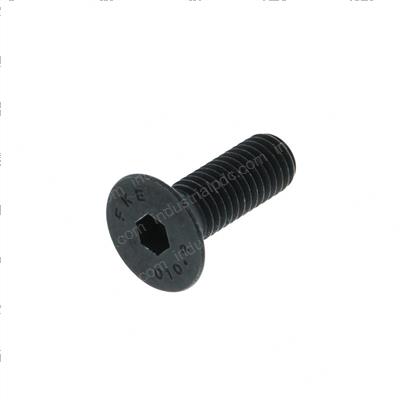 Picture of Capscrew