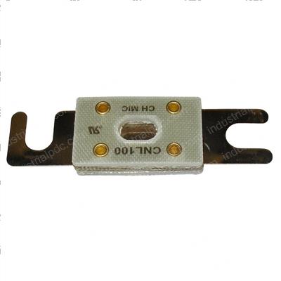 Picture of Fuse 100a