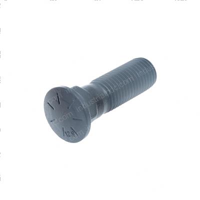 Picture of Carriage Bolt