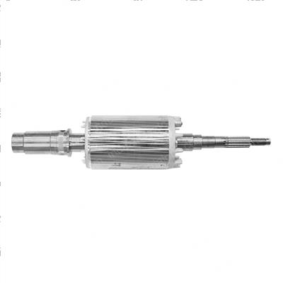 Picture of Rotor Assembly