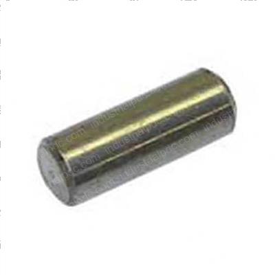 Picture of Pin