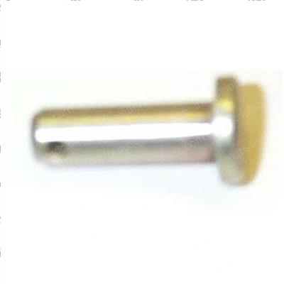 Picture of Pin