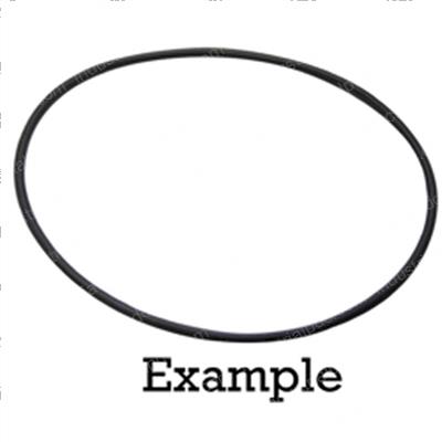 Picture of O-Ring