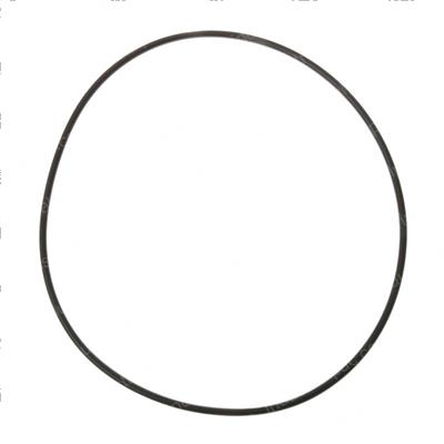 Picture of O-Ring