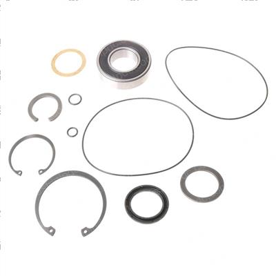 Picture of Kit- Seal for P/N 01251600