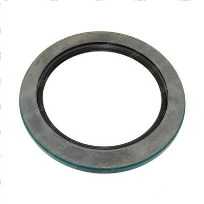 Picture of Seal