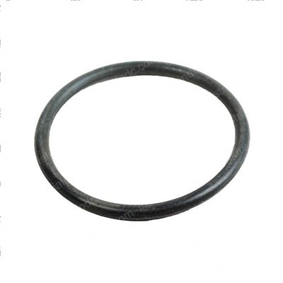 Picture of O-Ring