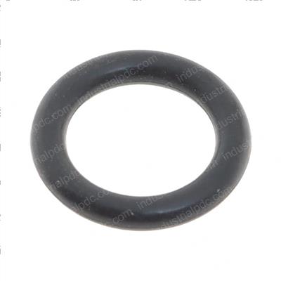 Picture of O-Ring
