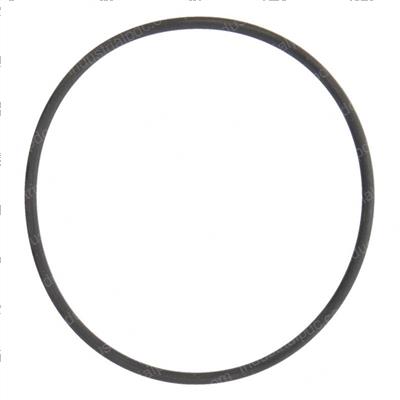 Picture of O-Ring
