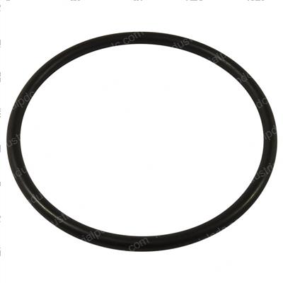 Picture of O-Ring