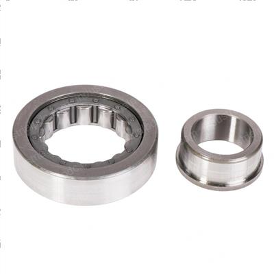 Picture of Bearing