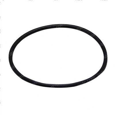 Picture of O-Ring
