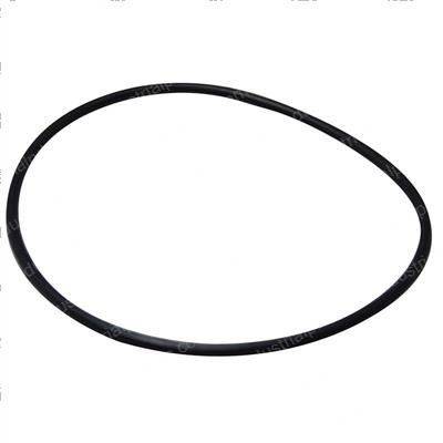 Picture of O-Ring