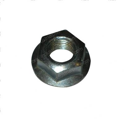 Picture of Nut