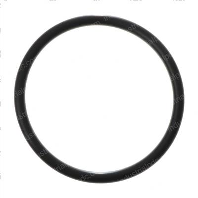 Picture of O-Ring