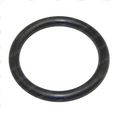 Picture of O-Ring