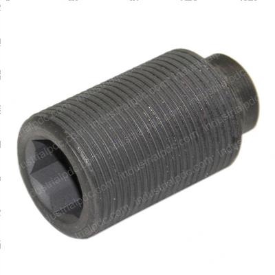 Picture of Plug