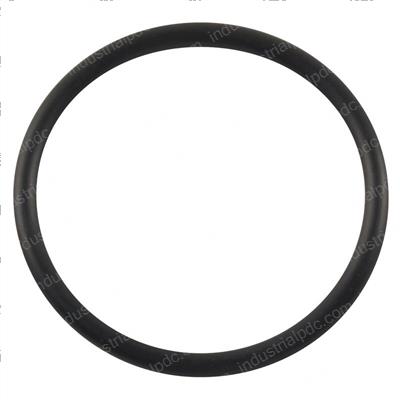 Picture of O-Ring
