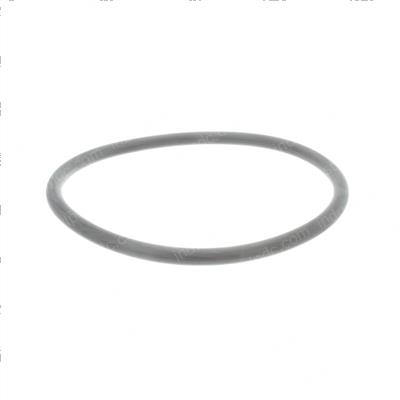 Picture of O-Ring