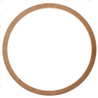 Picture of Ring-Filter