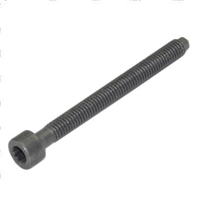 Picture of Cheeseheadbolt