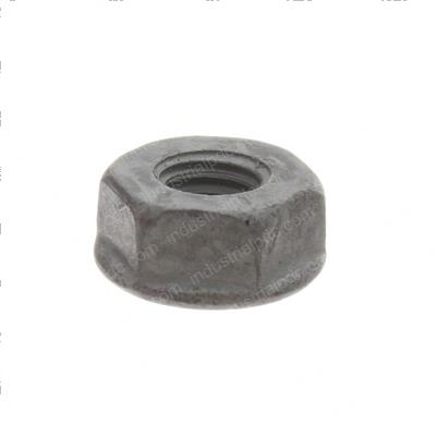 Picture of Nut