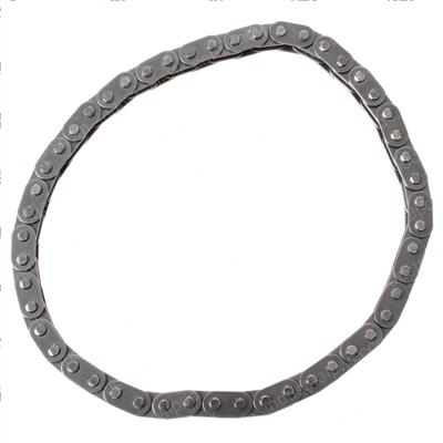 Picture of Chain