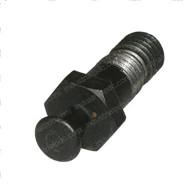 Picture of Bolt - Special