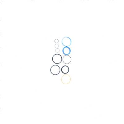 Picture of Seal Kit - Hydraulic Cylinder