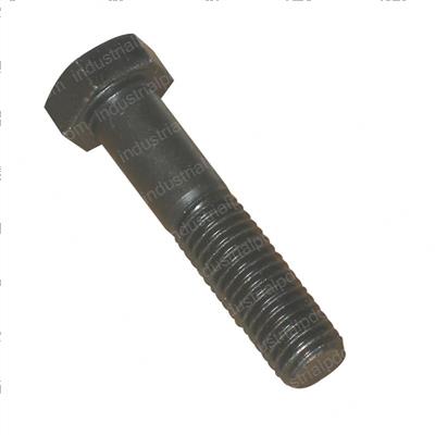 Picture of Bolt